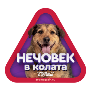 Стикер за кола - Домашно дебело куче