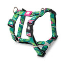 Max Molly H-Harness Tropical - нагръдник за кучета