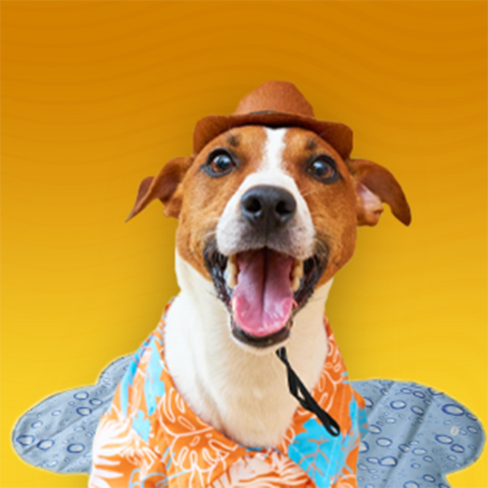 Затоплящи и охлаждащи постелки