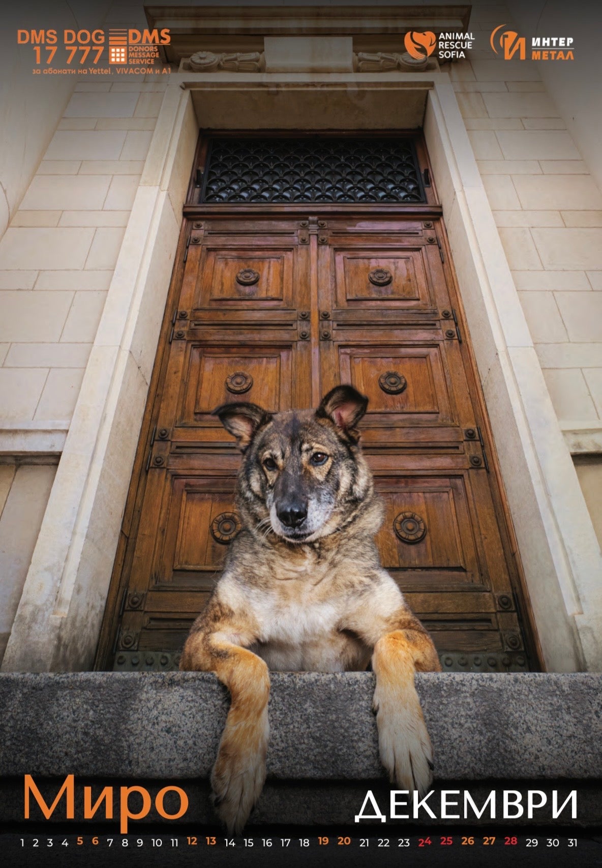 Animal Rescue Sofia - дарителски календар за 2026 година