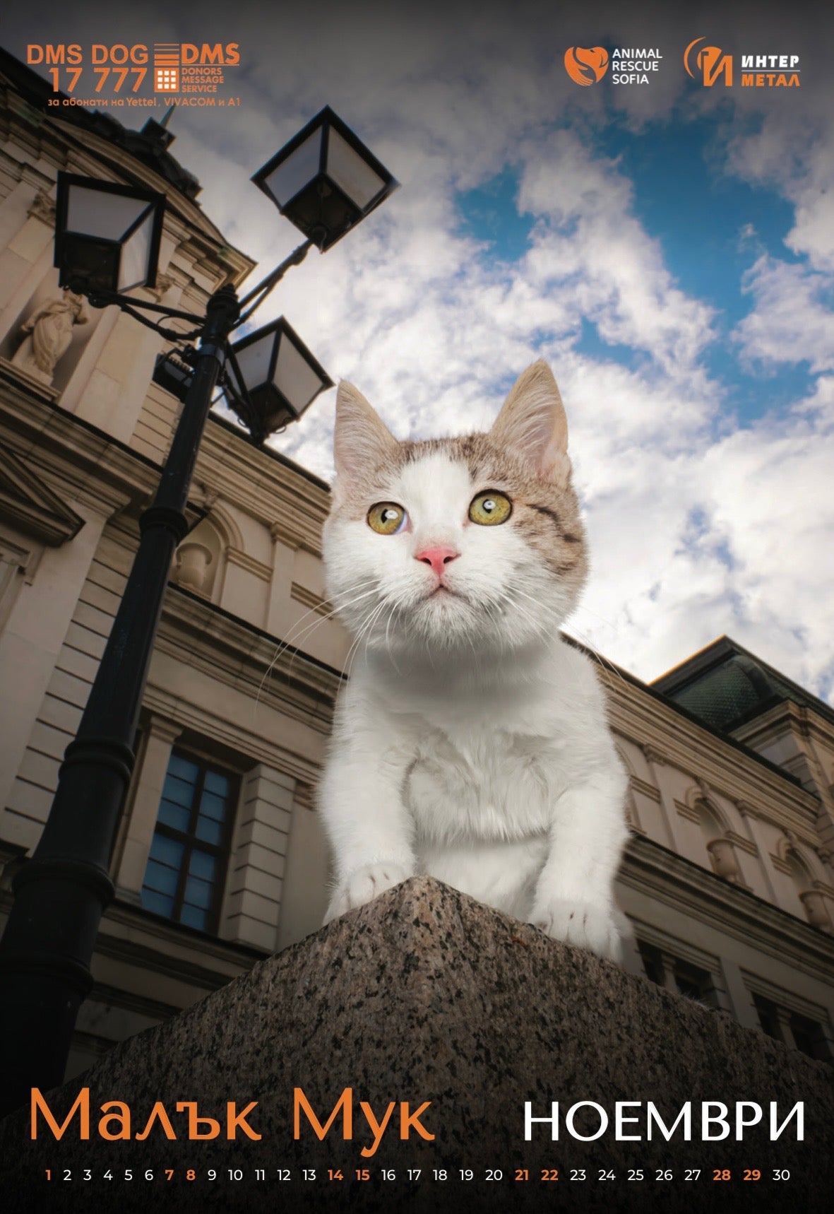 Animal Rescue Sofia - дарителски календар за 2026 година