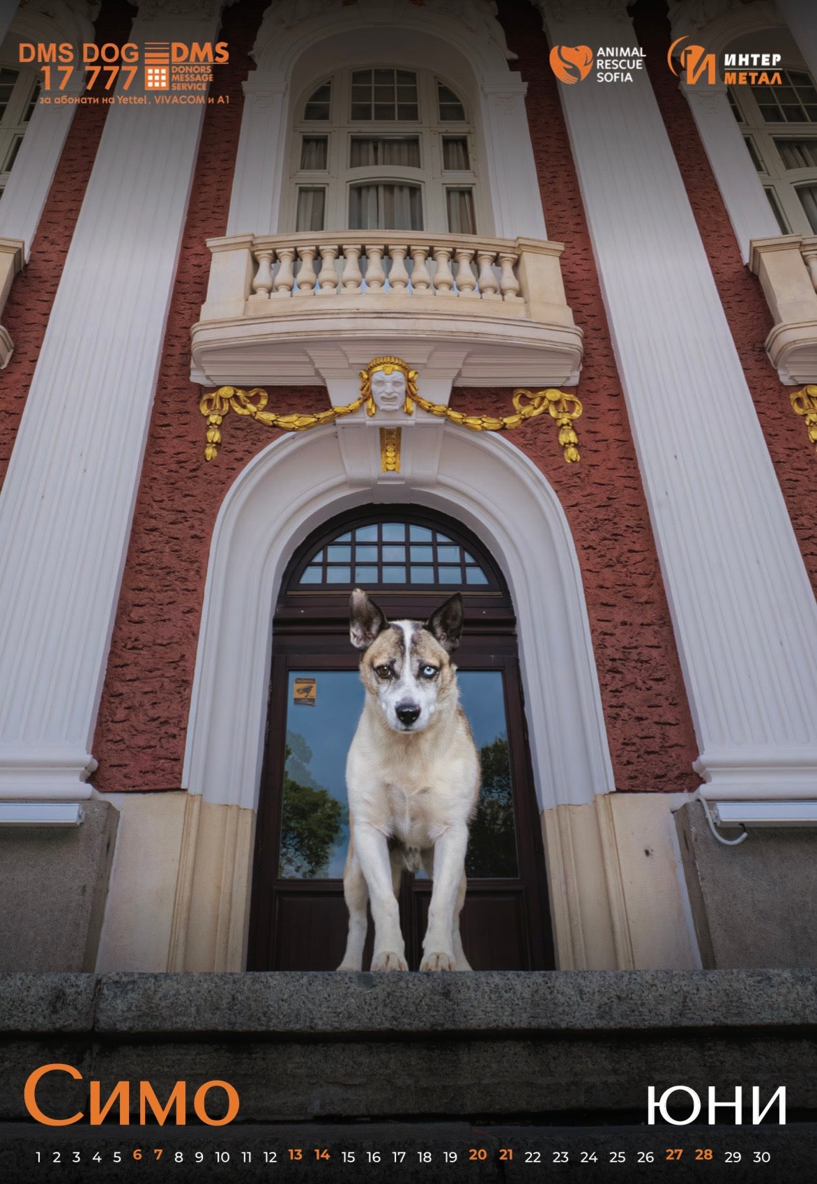 Animal Rescue Sofia - дарителски календар за 2026 година