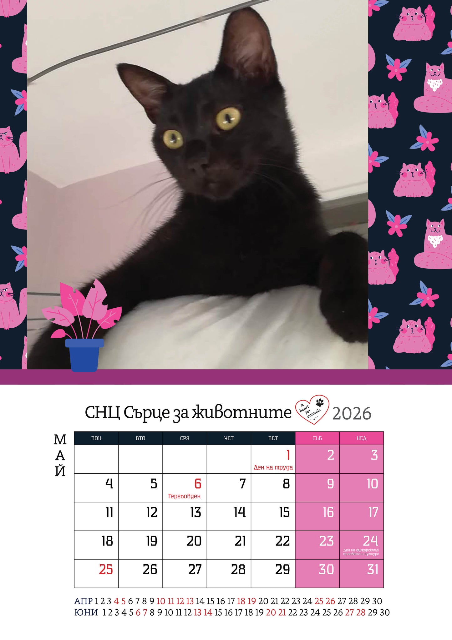 Сърце за животните - дарителски календар за 2026 година