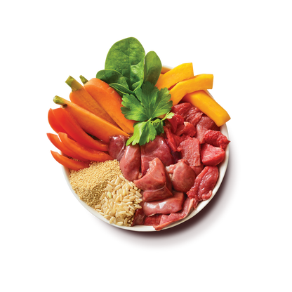 Lily's Kitchen Dog Beef Goulash - Canned Dog Food with Beef 400g