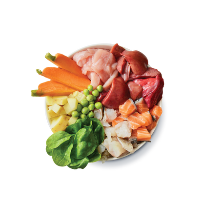 Lilys Kitchen Dog Fishy Fish Pie - консерва за кучета с пуйка и сьомга 400 гр.