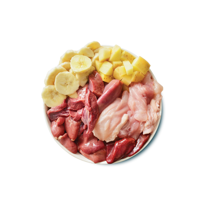 Lily's Kitchen Dog Recovery Recipe - wet dog food for sensitive stomachs or post-treatment 400g