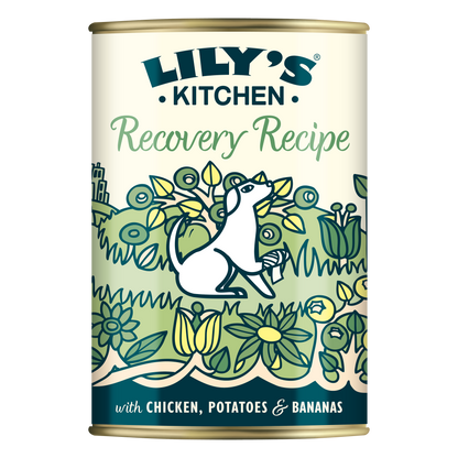 Lily's Kitchen Dog Recovery Recipe - wet dog food for sensitive stomachs or post-treatment 400g