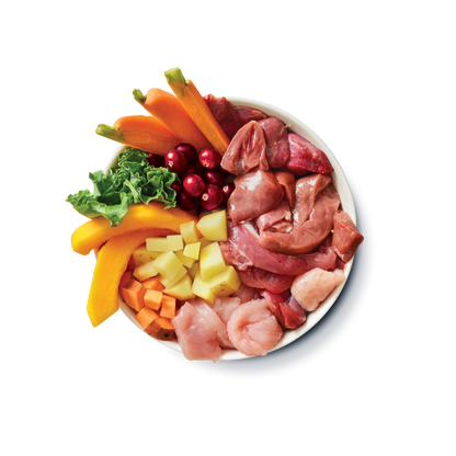 Lilys Kitchen Dog Puppy Recipe Turkey and Duck - консерва за кучета до 14 месеца 400 гр