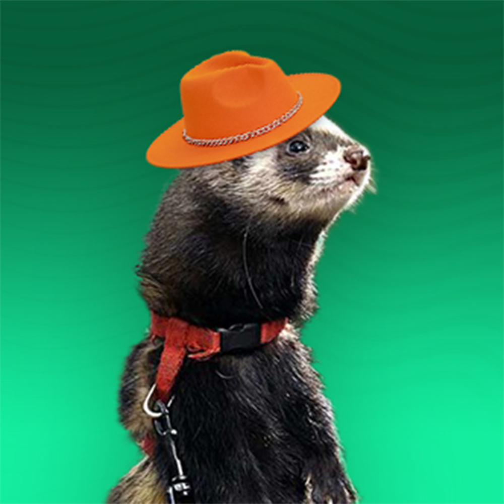 Поводи за зайчета и други малки животни