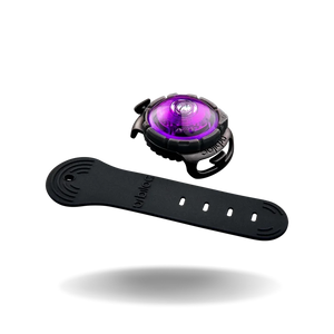 Orbiloc Dual Safety Light Pink - най-добрият флашер за Вас и Вашето куче, розов