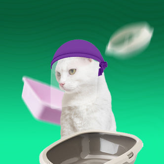 Открити тоалетни