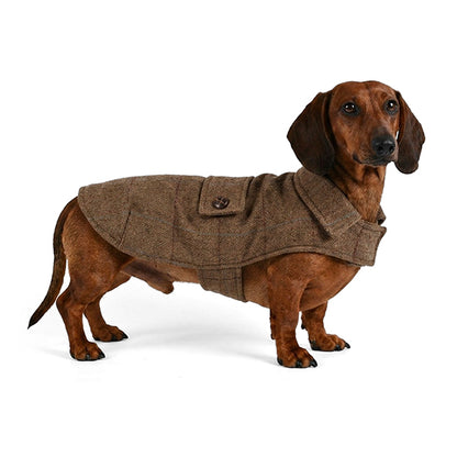 Nayeco Windsor Coat - палто за дакели 35 см