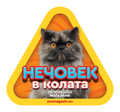 Стикер за кола - Персийска котка