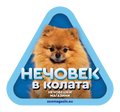 Стикер за кола - Померан
