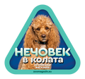 Стикер за кола - Пудел