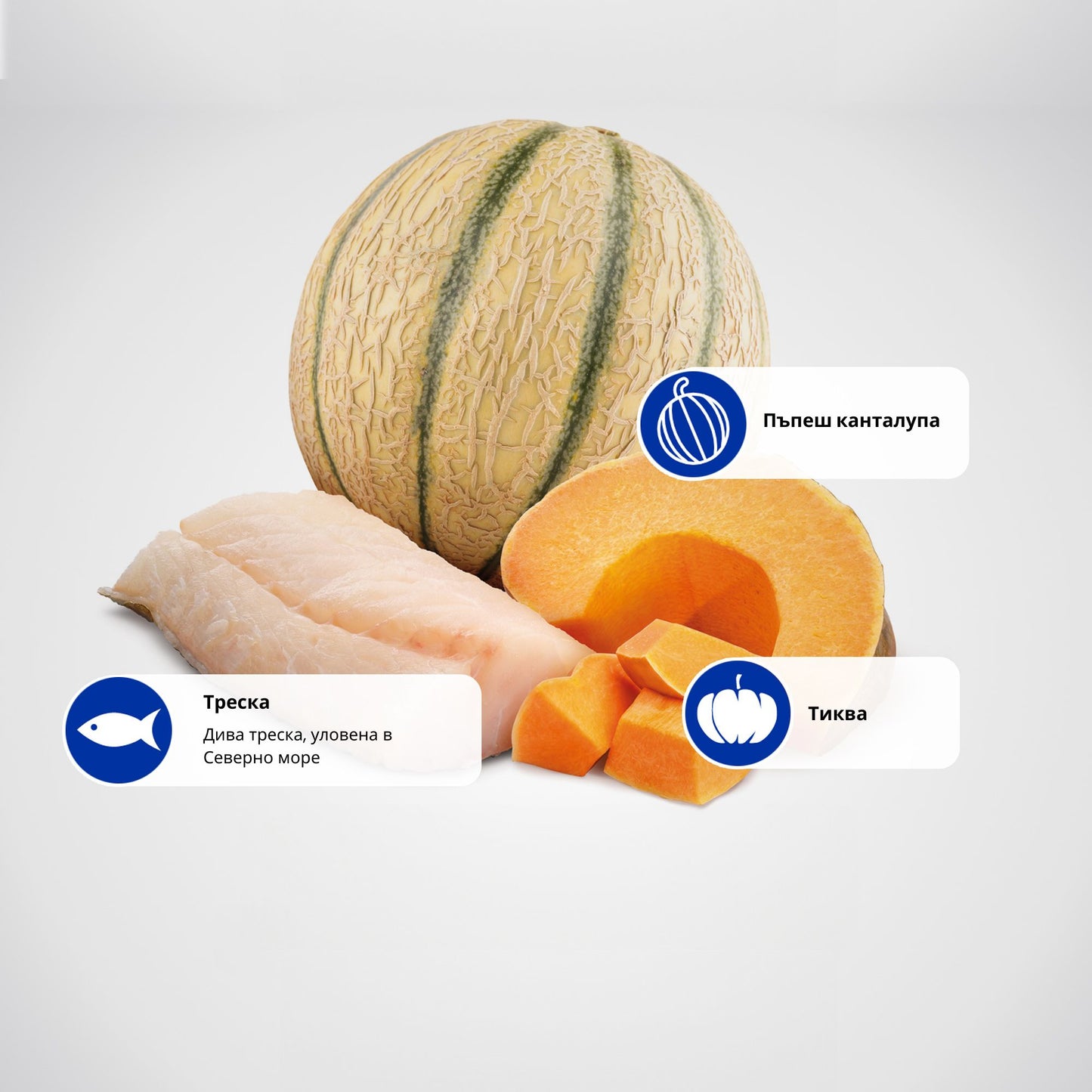 N&D Ocean Cod Pumpkin & Cantaloupe Melon Puppy Medium / Maxi - пълноценна храна за кученца от средни и големи породи с риба треска и портокал 12 кг.