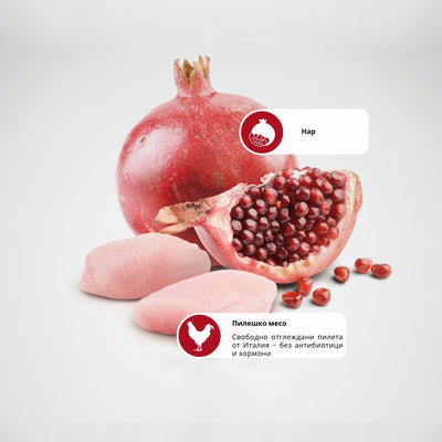 N&D Prime Chicken & Pomegranate Adult Mini – суха храна без зърнени култури за кучета в зряла възраст от дребни породи, с пилешко и нар 2.5 кг.
