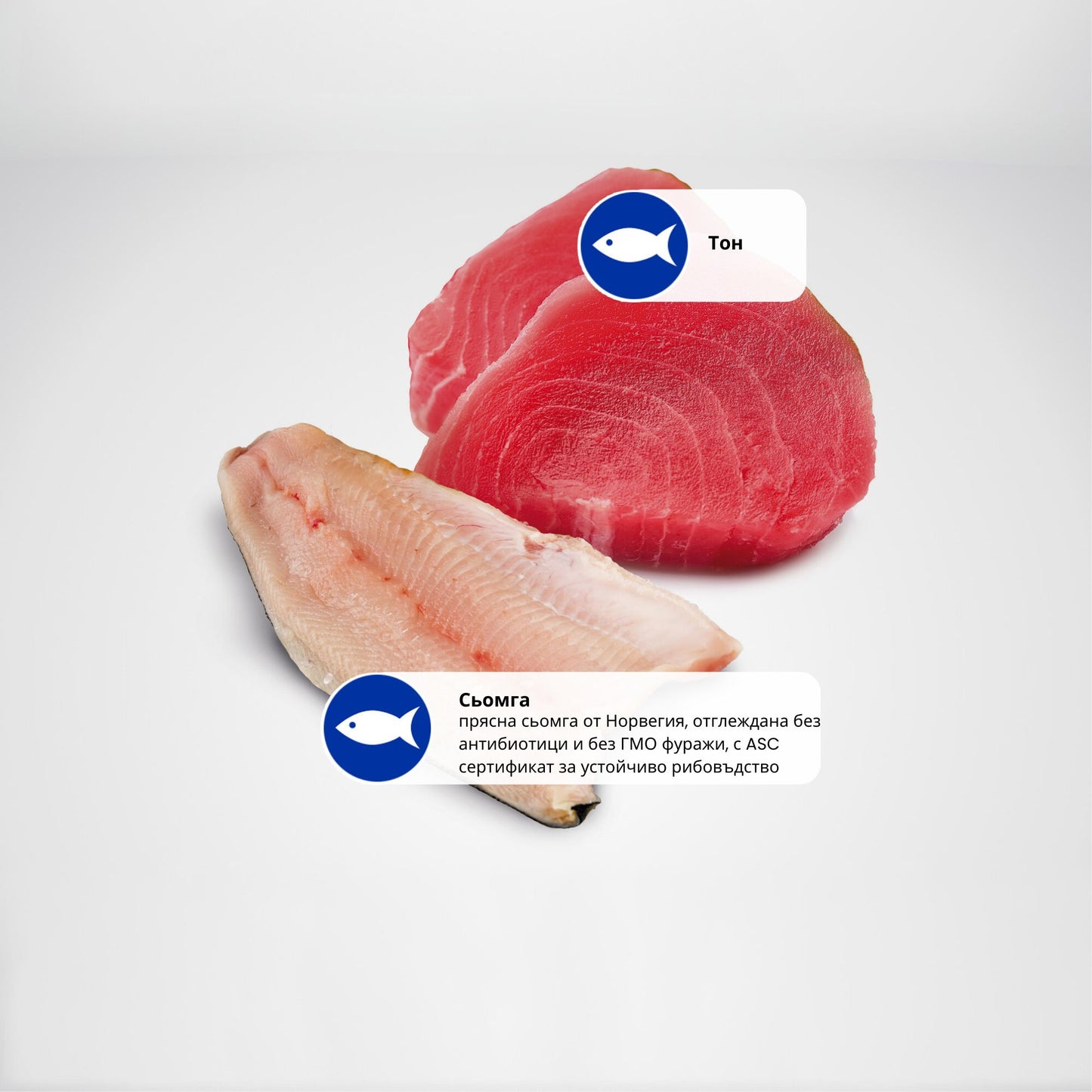 N&D Cat Ocean Tuna & Salmon - с риба тон и сьомга 70 гр.