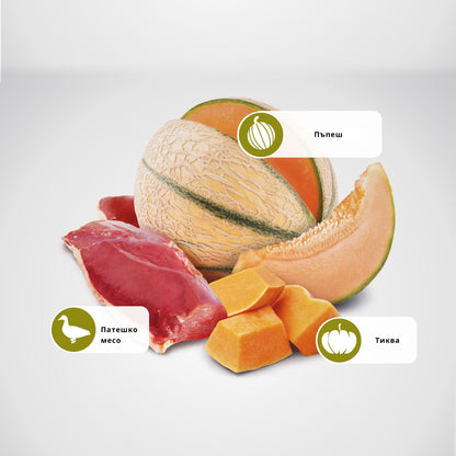 N&D Pumpkin Duck & Cantalupe Adult – пълноценна храна с тиква за котки над една година, с патица и пъпеш