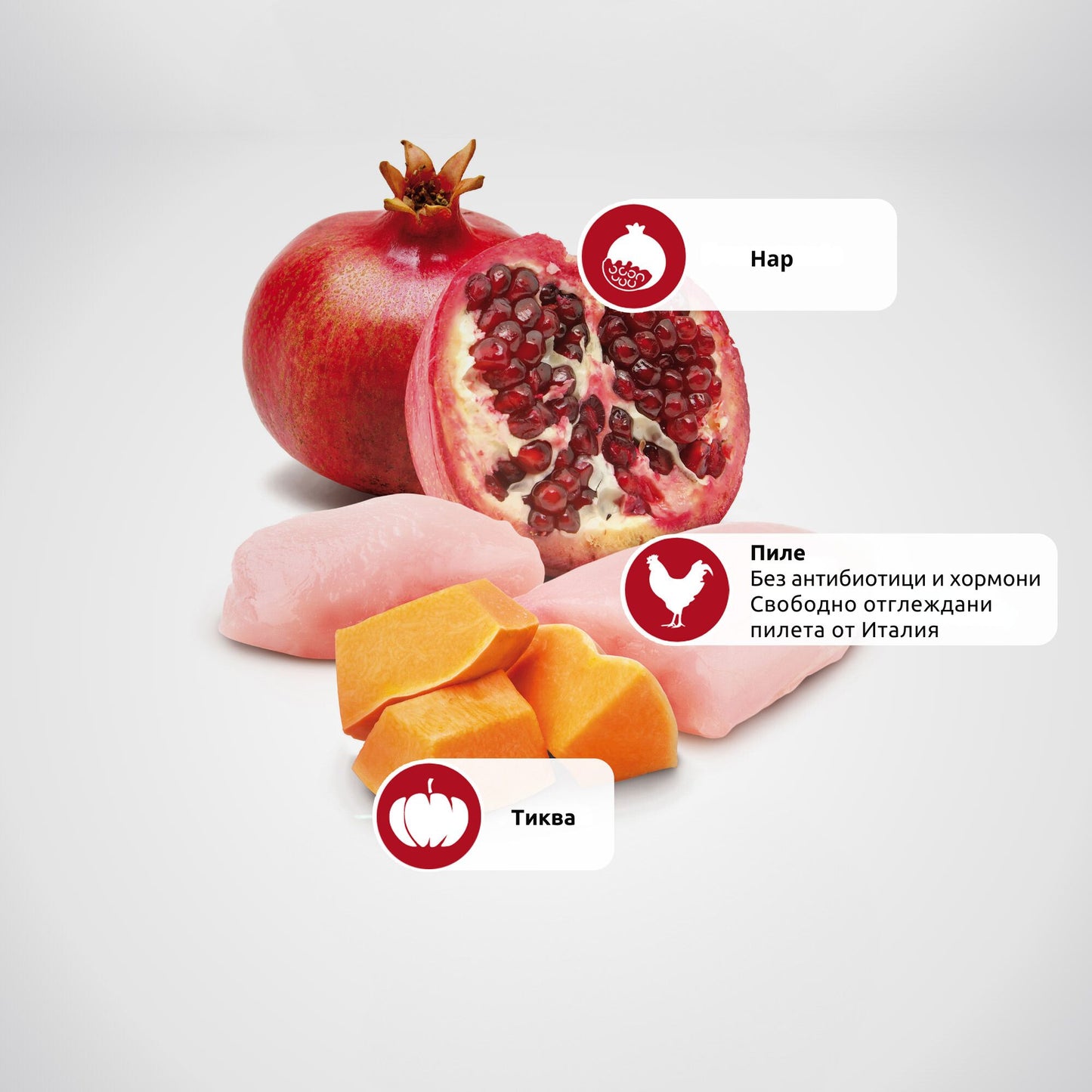 N&D Pumpkin Chicken and Pomegranate Puppy Mini - суха храна за кученца от малки породи с пилешко 800 гр