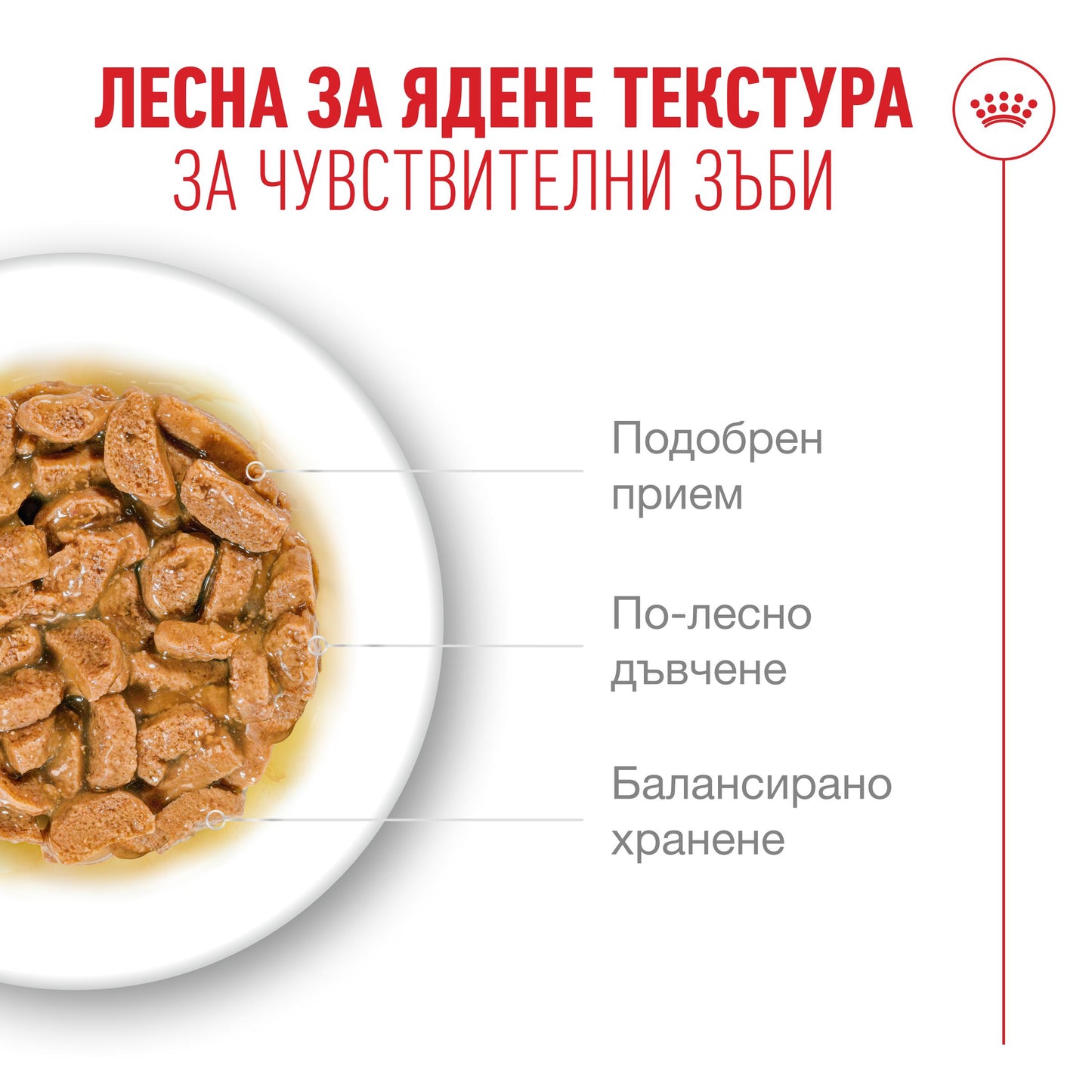 Royal Canin Ageing 11+ - пауч за възрастни котки 85 гр