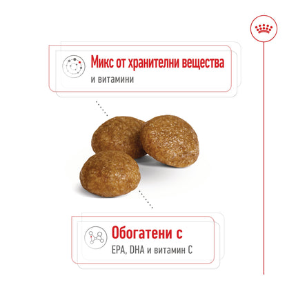Royal Canin X-Small Adult 8+ - суха храна за възрастни кучета от мини породи 1.5 кг