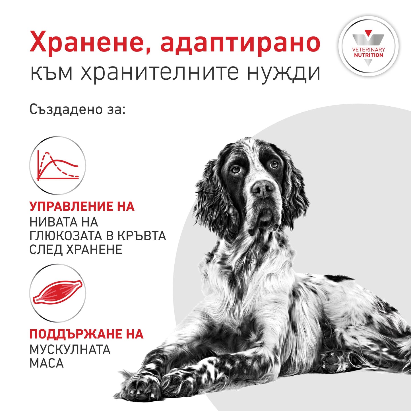 Royal Canin Glycobalance - суха храна за pегулиране нивата на кръвна захар 1,5 кг