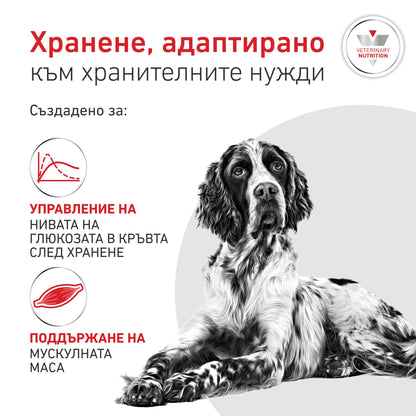 Royal Canin Glycobalance - суха храна за pегулиране нивата на кръвна захар