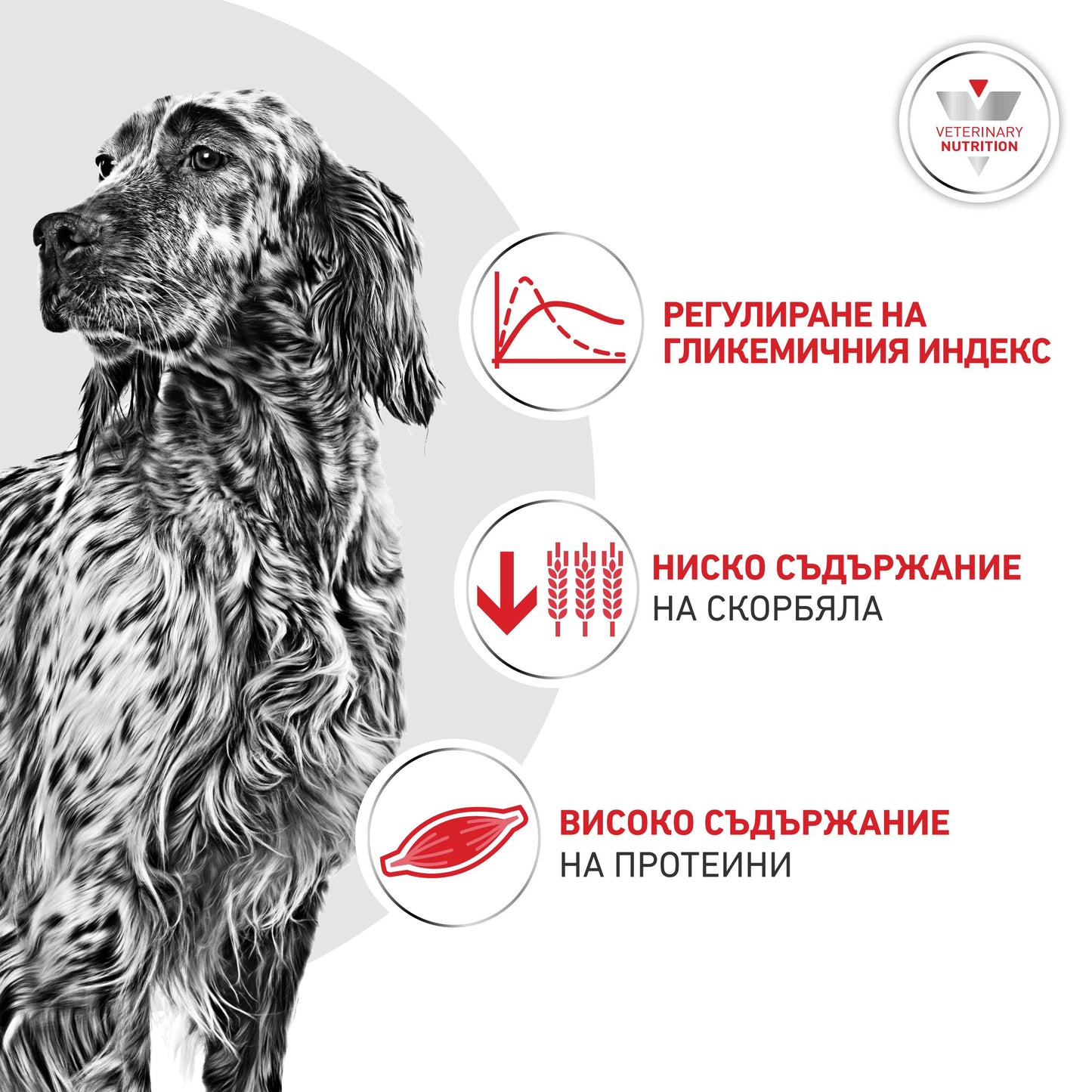 Royal Canin Glycobalance - суха храна за pегулиране нивата на кръвна захар 1,5 кг