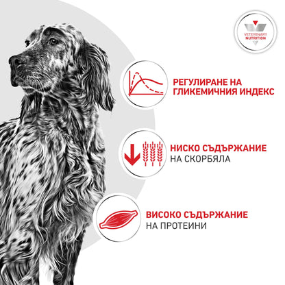 Royal Canin Glycobalance - суха храна за pегулиране нивата на кръвна захар