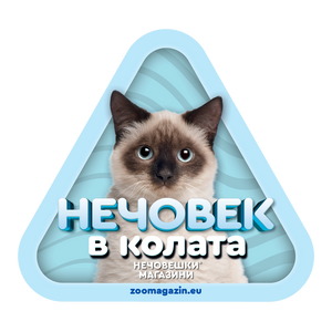 Стикер за кола - Рагдол