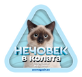 Стикер за кола - Рагдол