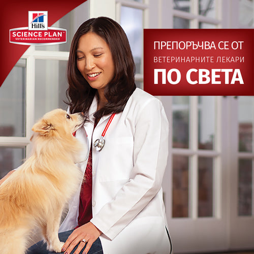 Hills Science Plan Small and Mini Sensitive Stomach and Skin Adult - суха храна с пилешко за кучета с чувствителен стомах и кожа 5+1 кг