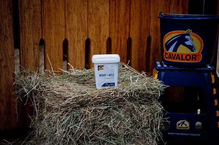 Cavalor Resist + Vit. C - при ослабен имунитет, податливост на инфекции 2 кг.