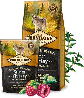 Carnilove Salmon and Turkey Adult Large Breed - храна за куче със сьомга и пуешко без зърнени култури 1,5 кг