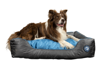 Kiwi Walker Running Sofa Bed L - ортопедично легло с мемори пяна 75 / 50 / 24 см.  зелен