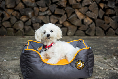 Kiwi Walker Running Sofa Bed L - ортопедично легло с мемори пяна 75 / 50 / 24 см.  зелен