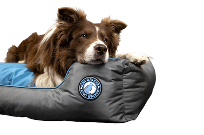 Kiwi Walker Running Sofa Bed L - ортопедично легло с мемори пяна 75 / 50 / 24 см.  зелен