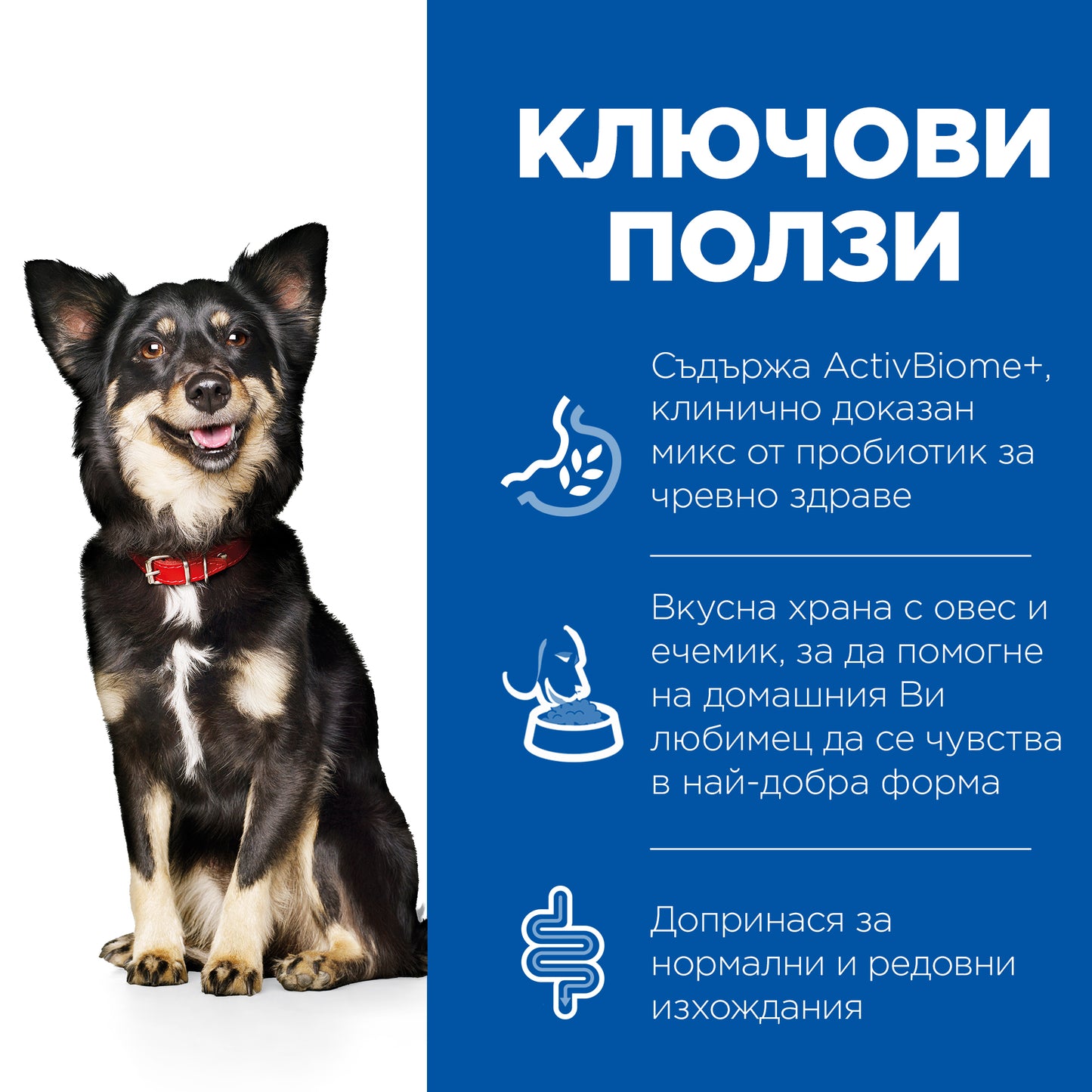 Hills Science Plan Small and Mini Adult Perfect Digestion - суха храна за кучета с пилешко 3 кг