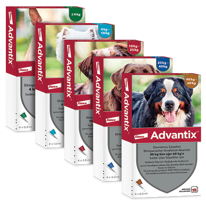 Bayer Advantix Spot On - противопаразитни пипети за кучета, 4 броя