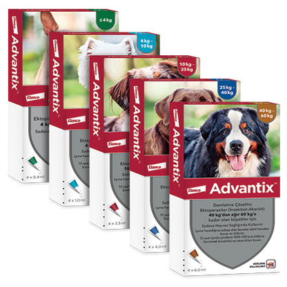 Advantix Spot On - за кучета от 25 до 40 кг / кутия с четири броя пипети /