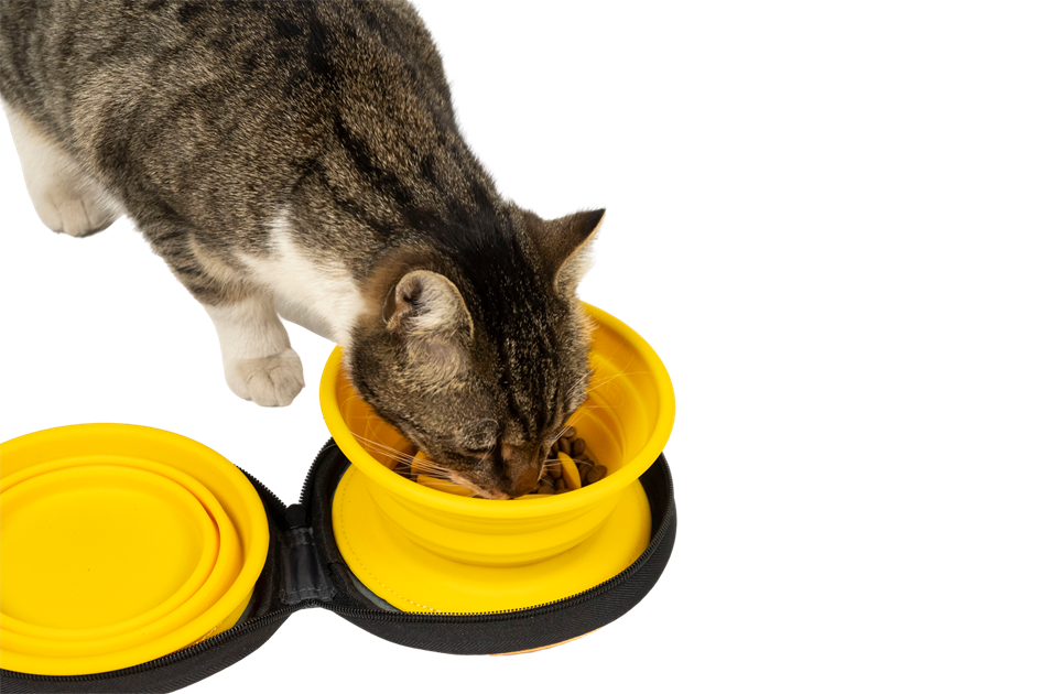 Kiwi Walker Double Travel Bowl with Slow Feeder - сгъваеми купички за храна и вода