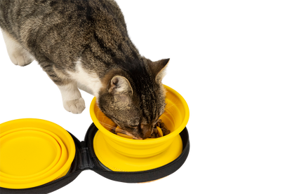 Kiwi Walker Double Travel Bowl with Slow Feeder - сгъваеми купички за храна и вода