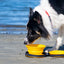 Kiwi Walker Double Travel Bowl with Slow Feeder - сгъваеми купички за храна и вода