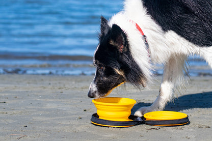 Kiwi Walker Double Travel Bowl with Slow Feeder - сгъваеми купички за храна и вода