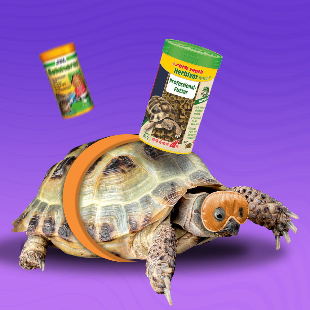 Храна за терариумни животни