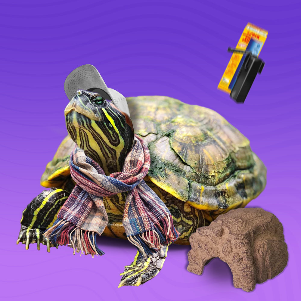 Оборудване за терариум