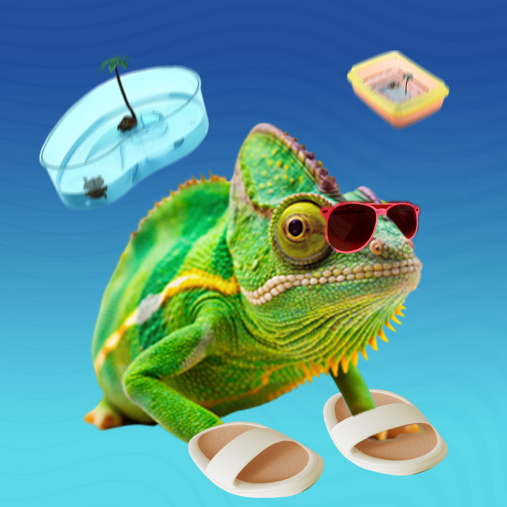 Терариуми и Аквариуми