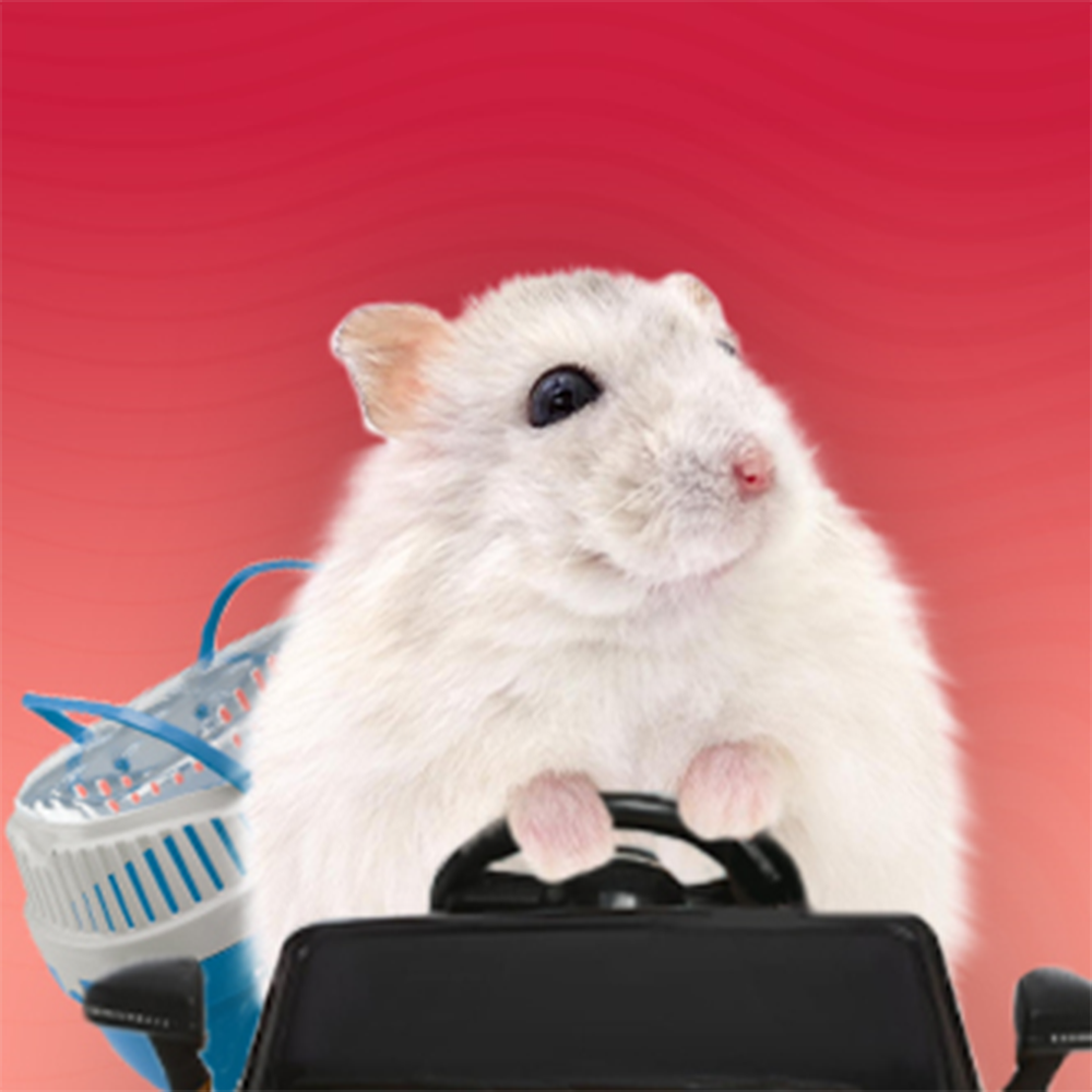 Транспортни клетки и чанти за малки животни