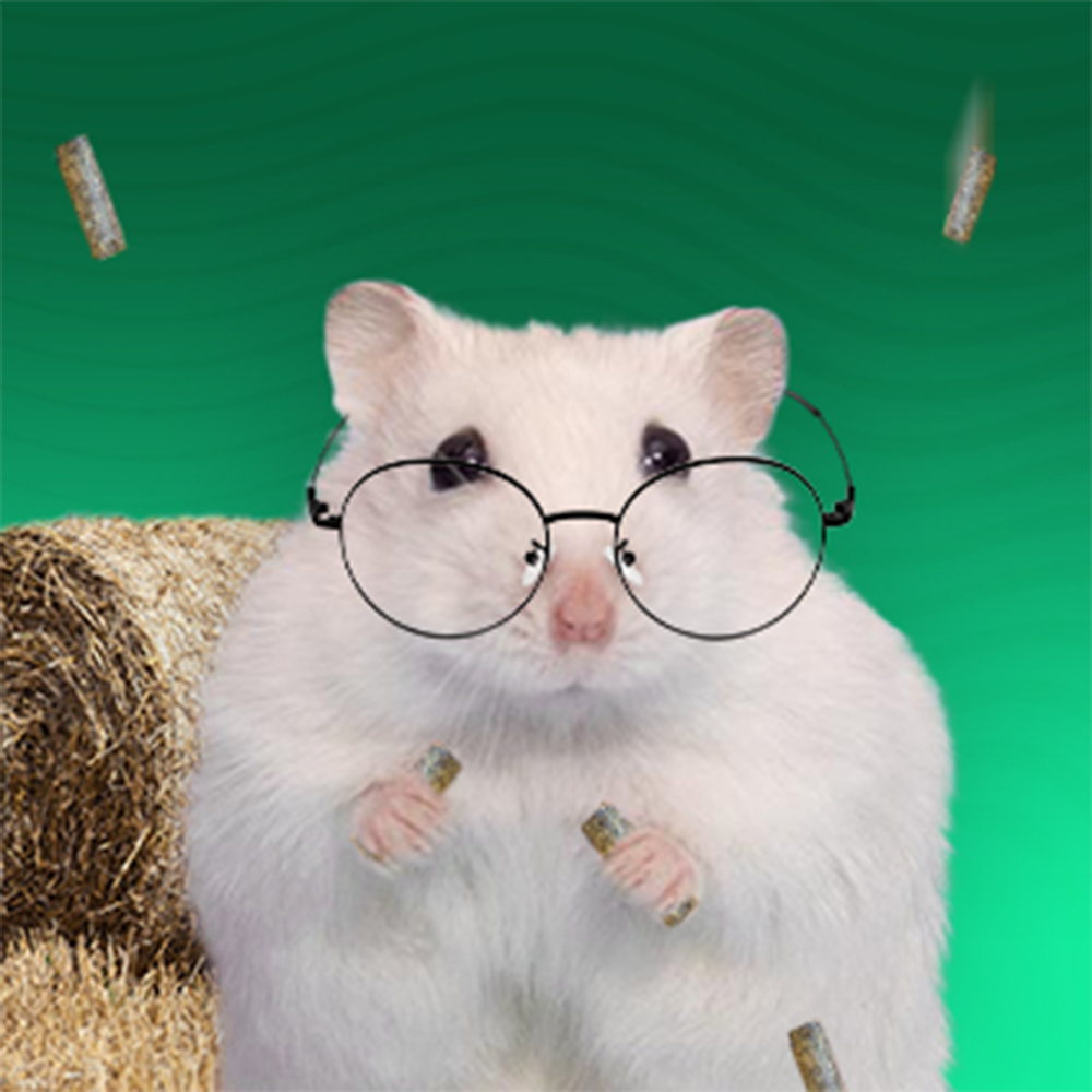 Лакомства, минерали и сено